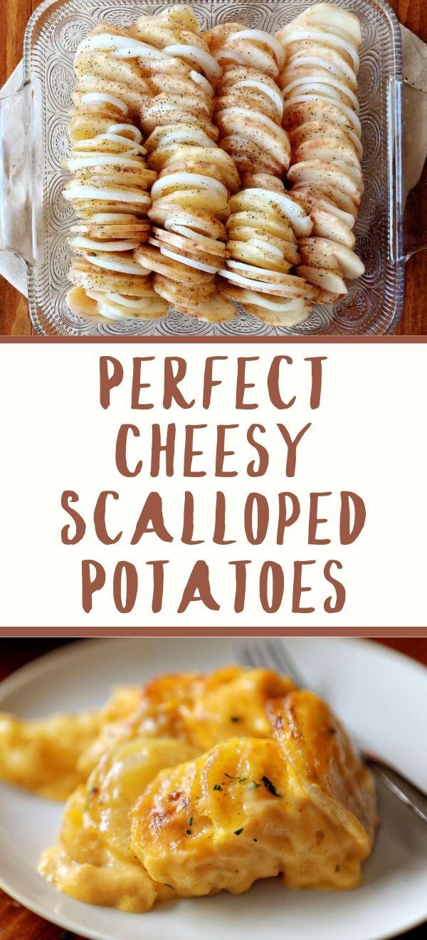 Perfect Cheesy Scalloped Potatoes