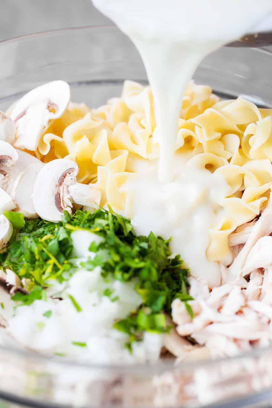 Amish Chicken and Noodles Casserole with a Savory White Sauce