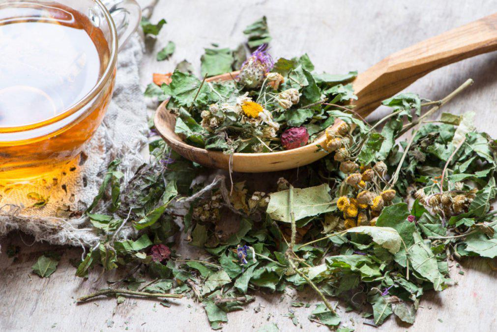 The best herbs for female body rejuvenation