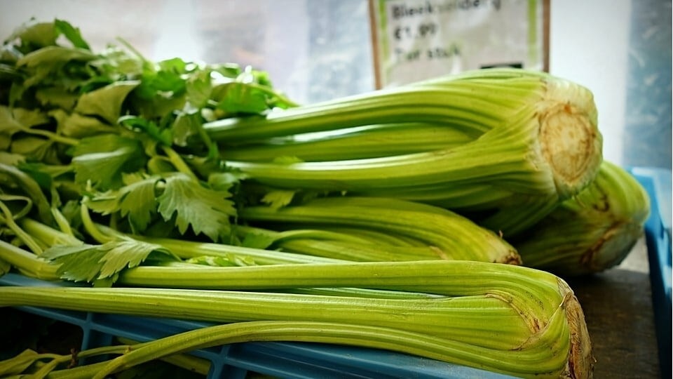 Celery: Health Benefits and Tips for Use