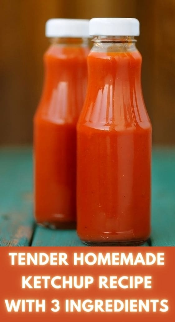 Tender homemade ketchup recipe with 3 ingredients