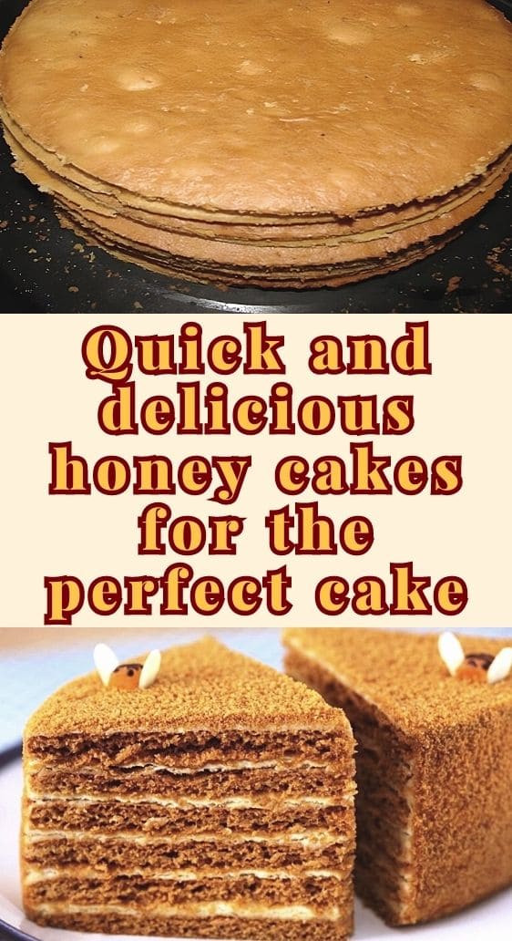 Quick and delicious honey cakes for the perfect cake