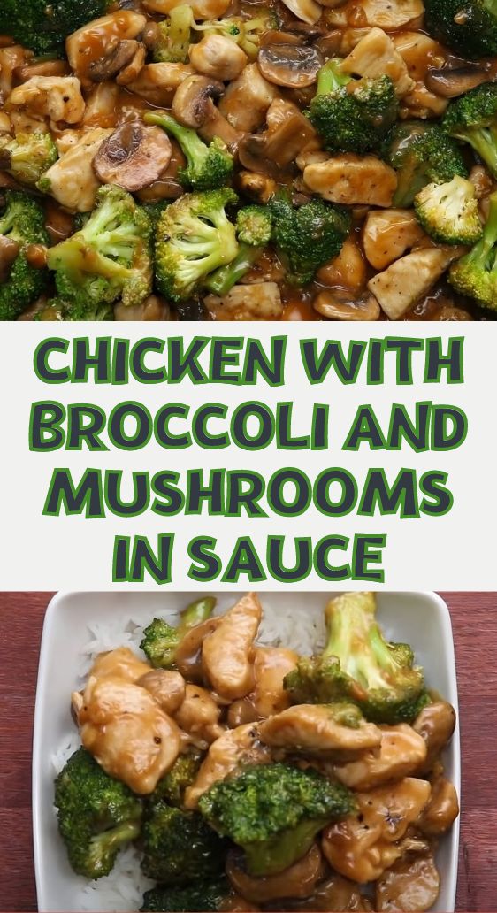 Perfect Combination of Ingredients! Chicken with Broccoli and Mushrooms in Sauce