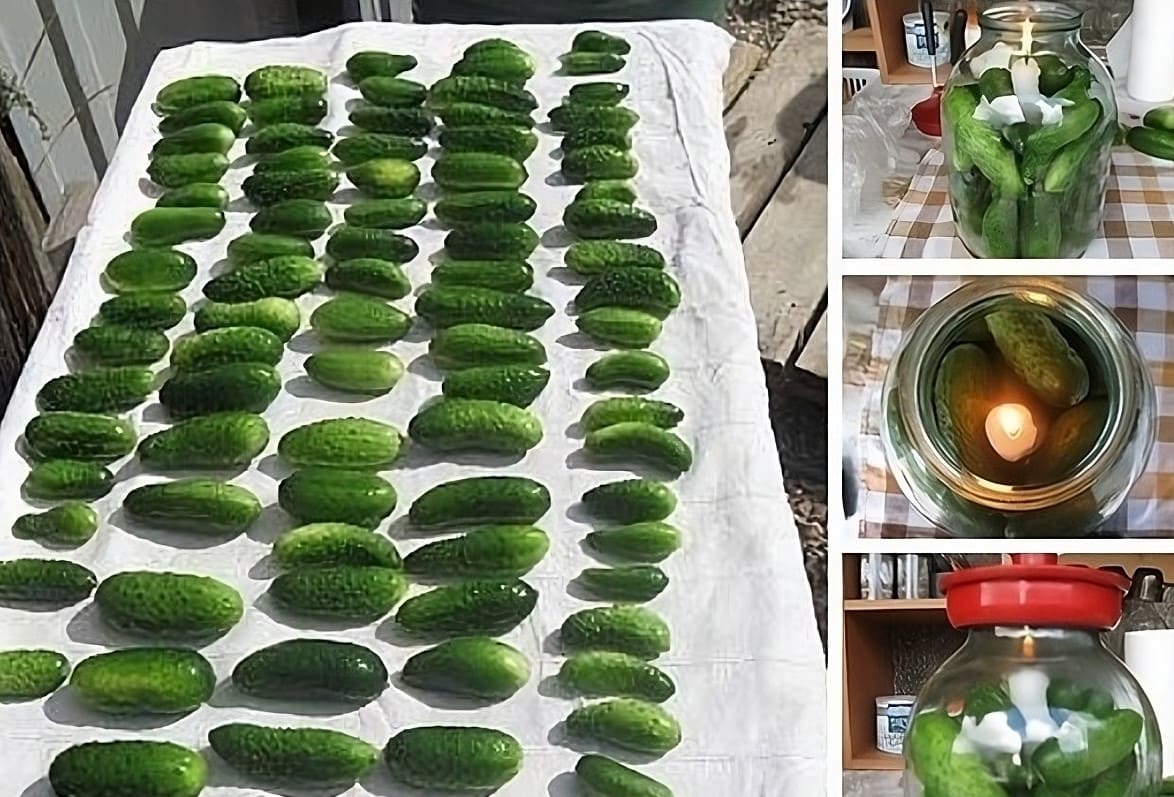 How to Keep Cucumbers (and More!) Fresh for Winter – A Super Method!