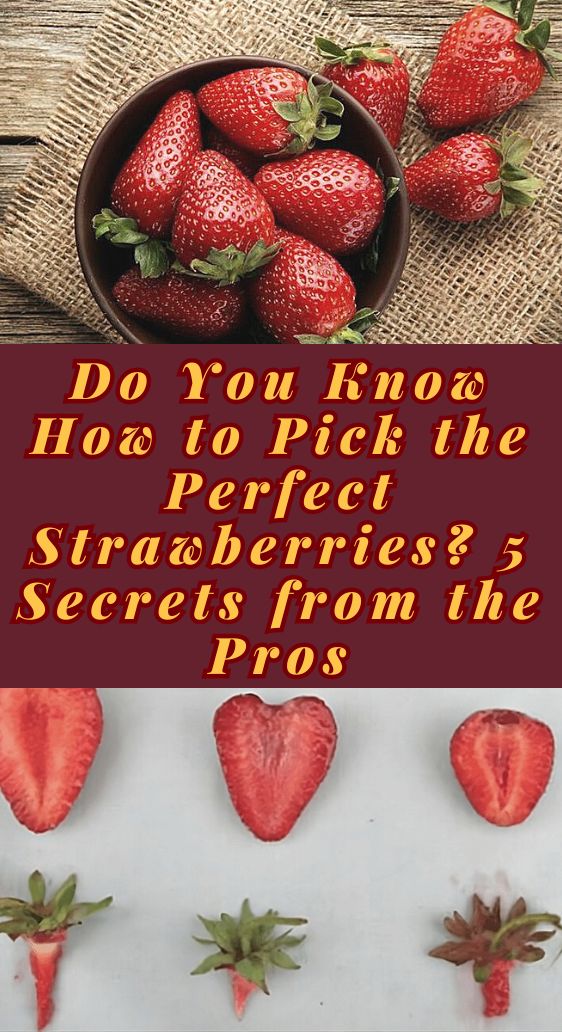 Do You Know How to Pick the Perfect Strawberries? 5 Secrets from the Pros