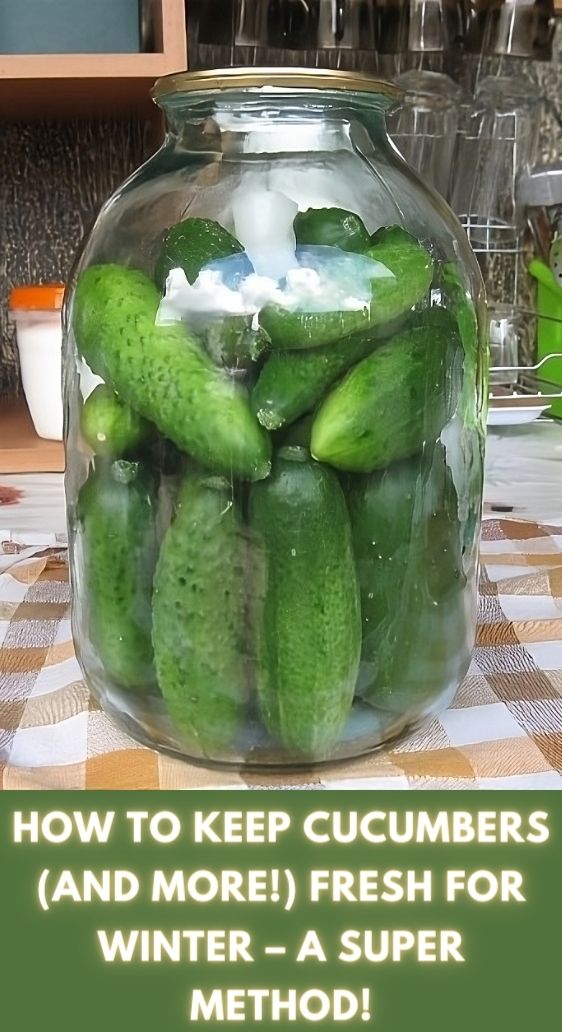 How to Keep Cucumbers (and More!) Fresh for Winter – A Super Method!