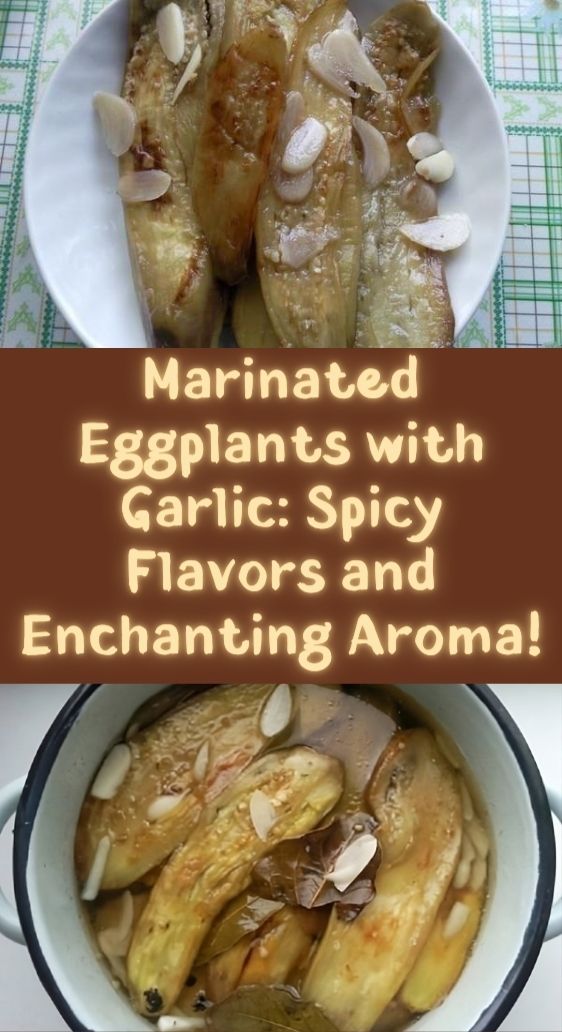 Marinated Eggplants with Garlic: Spicy Flavors and Enchanting Aroma!