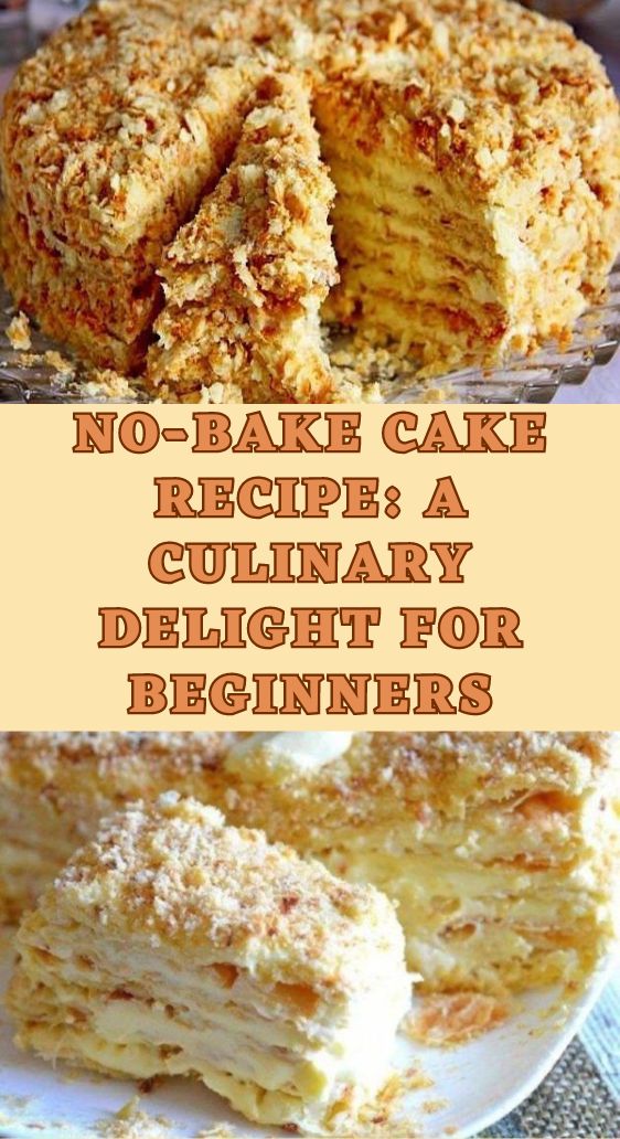 No-Bake Cake Recipe: A Culinary Delight for Beginners