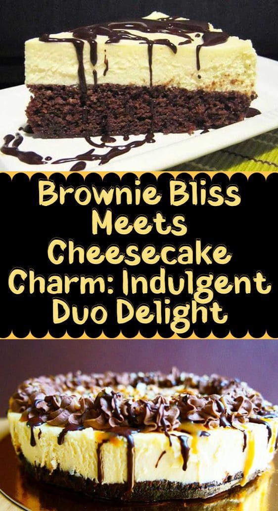 Brownie Bliss Meets Cheesecake Charm: Indulgent Duo Delight