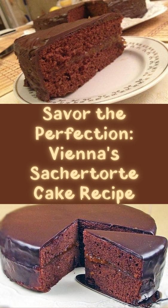 Savor the Perfection: Vienna's Sachertorte Cake Recipe