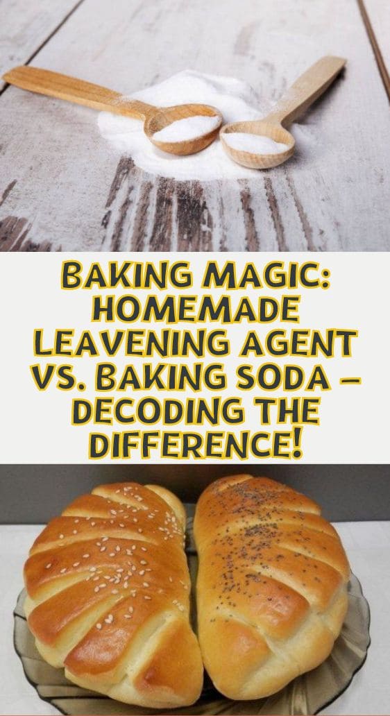 Baking Magic: Homemade Leavening Agent vs. Baking Soda – Decoding the Difference!