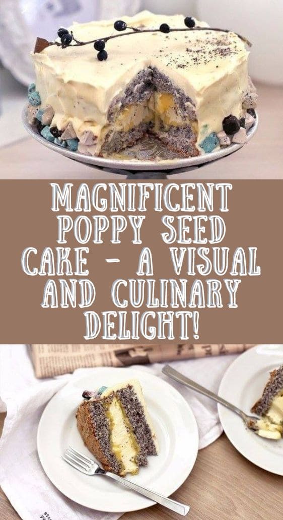 Magnificent Poppy Seed Cake – A Visual and Culinary Delight!