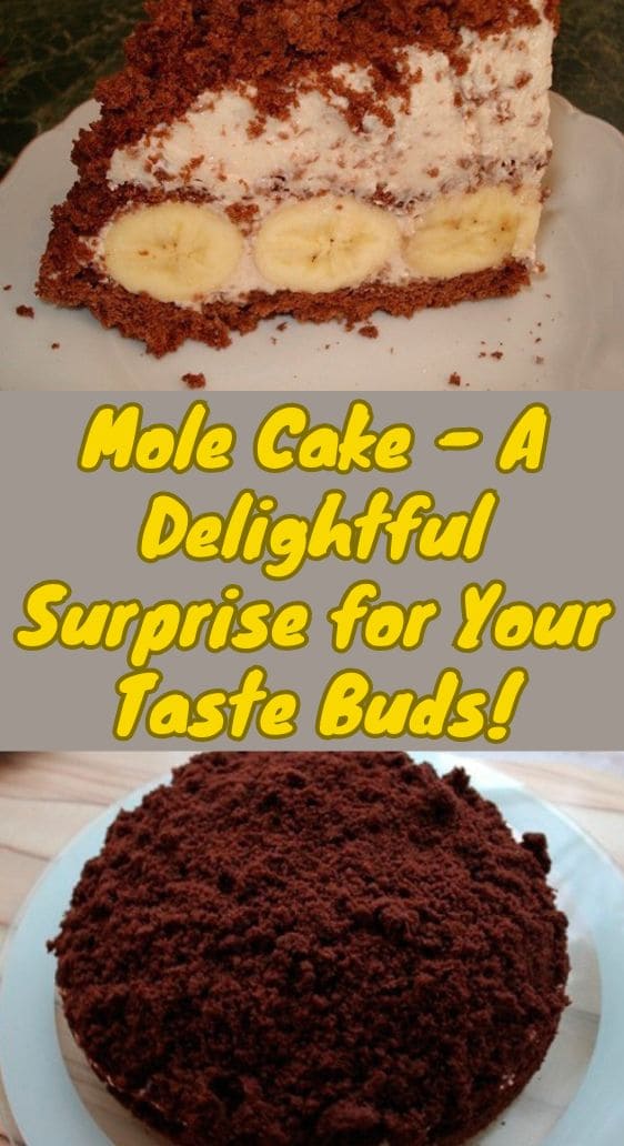 Mole Cake - A Delightful Surprise for Your Taste Buds!