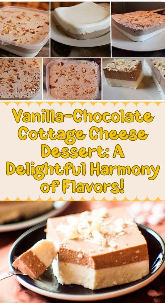 Vanilla-Chocolate Cottage Cheese Dessert: A Delightful Harmony of Flavors!